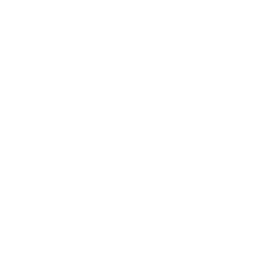 THE TOTEM DIET