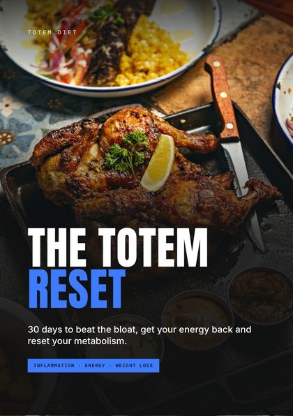 Cover of the guide “The Totem Reset”
